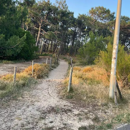 New House For 8 People * Vielle-Saint-Girons